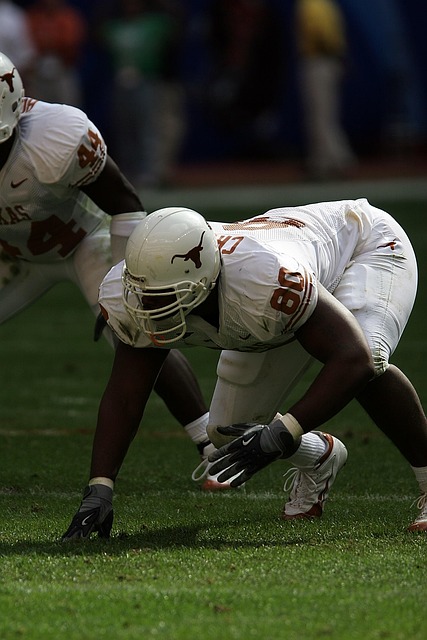 的戰術多樣 的戰術多樣